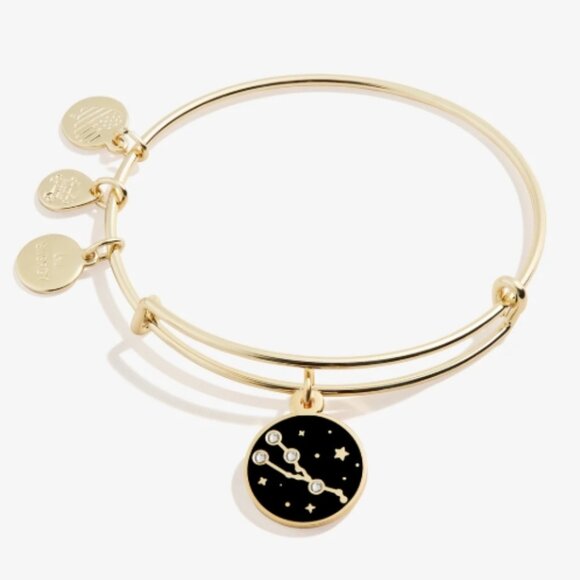 Taurus Zodiac Charm Bangle - Picture 1 of 1